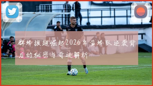 群蜂振翅崛起2026年黄蜂队逆袭背后的秘密与奇迹解析